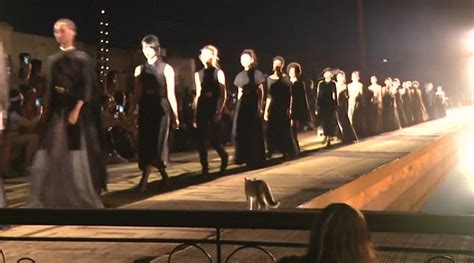 cat dior catwalk morroco|Fashionable feline gatecrashes the Christian Dior runway in .